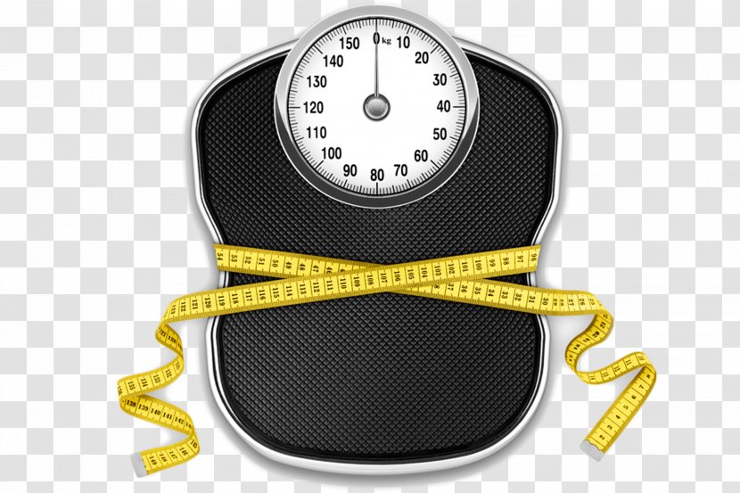 Weight Loss Measuring Scales Adipose Tissue Body Fat Percentage - Muscle Transparent PNG
