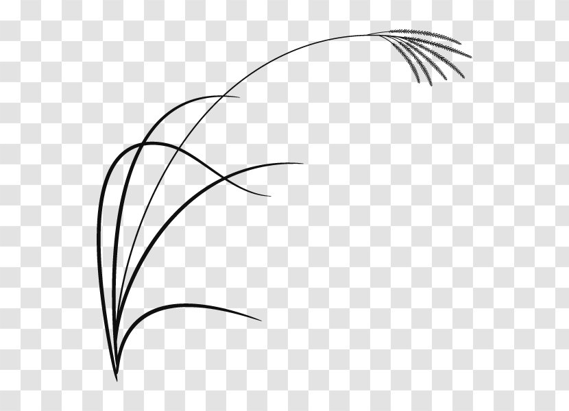 /m/02csf Clip Art Twig Drawing Line - Eyebrow - Black M Transparent PNG