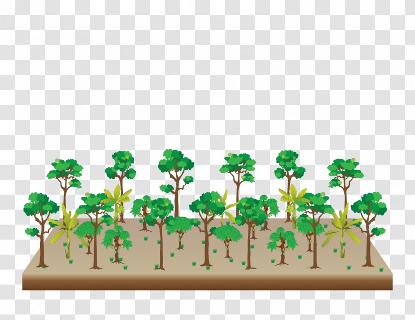 Tree Agroforestry Graphic Design Apuntes De Clase Del Curso Corto: Sistemas Agroforestales - Drawing Transparent PNG