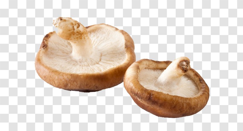 Chinese Cuisine Shiitake Food Eating Fungus - Meat - Two Mushrooms Transparent PNG