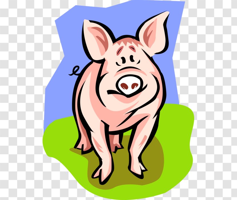 Domestic Pig Fetal Farming Dissection - Smile Transparent PNG