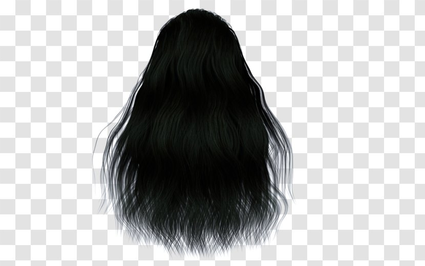Black Hair Human Color Wig Brown - Coloring - Long Transparent PNG