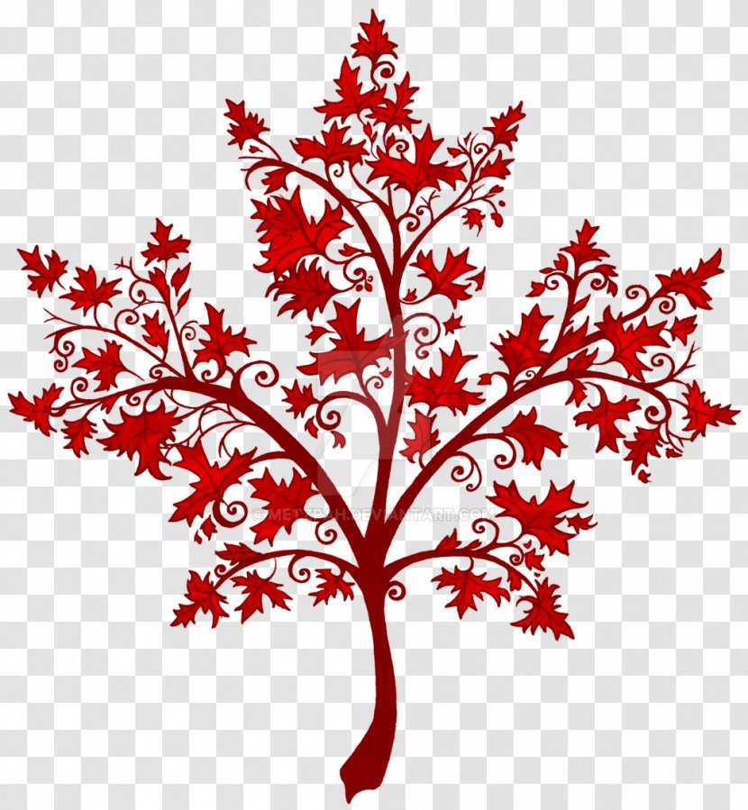 Maple Leaf Twig Canada Japanese - Tree Transparent PNG