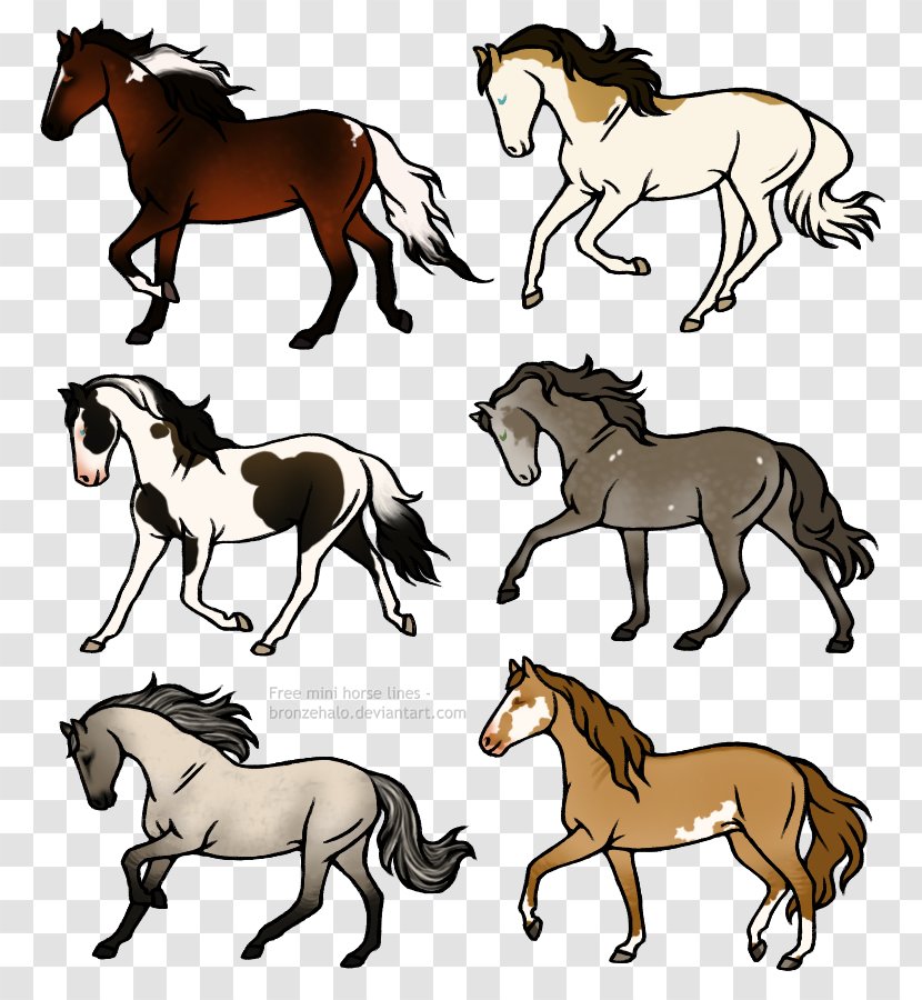 Mustang Pony Art Stallion Foal - Pack Animal Transparent PNG