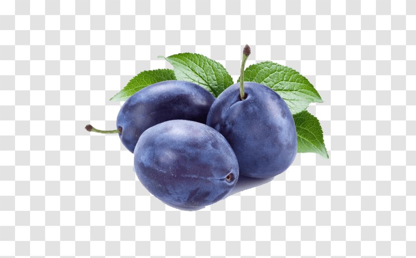 Prune Fruit Tree Damson Plum Sauce - Common Transparent PNG