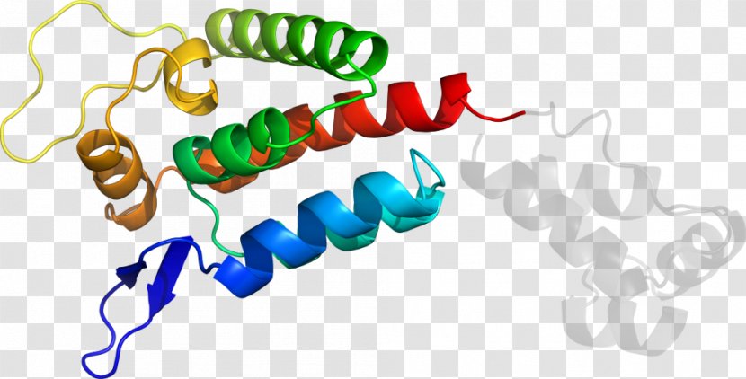 Product Design Clip Art Organism Line - Text - P24 Capsid Protein Transparent PNG