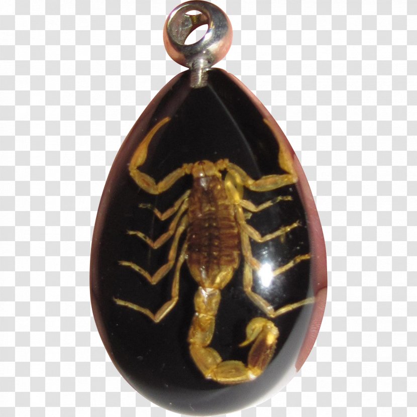 Locket Charms & Pendants Jewellery Invertebrate Amber - Scorpion Transparent PNG