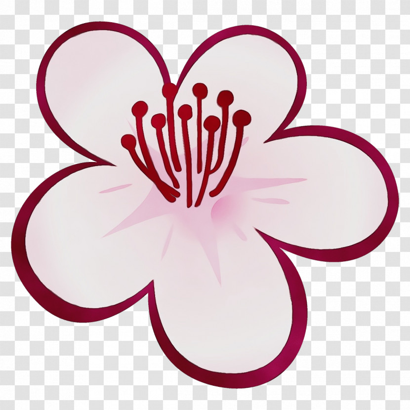 Pink Petal Magenta Flower Plant Transparent PNG