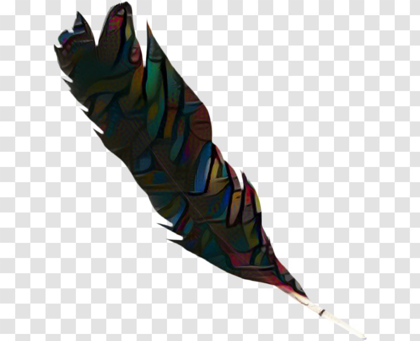 Feather - Natural Material - Claw Transparent PNG
