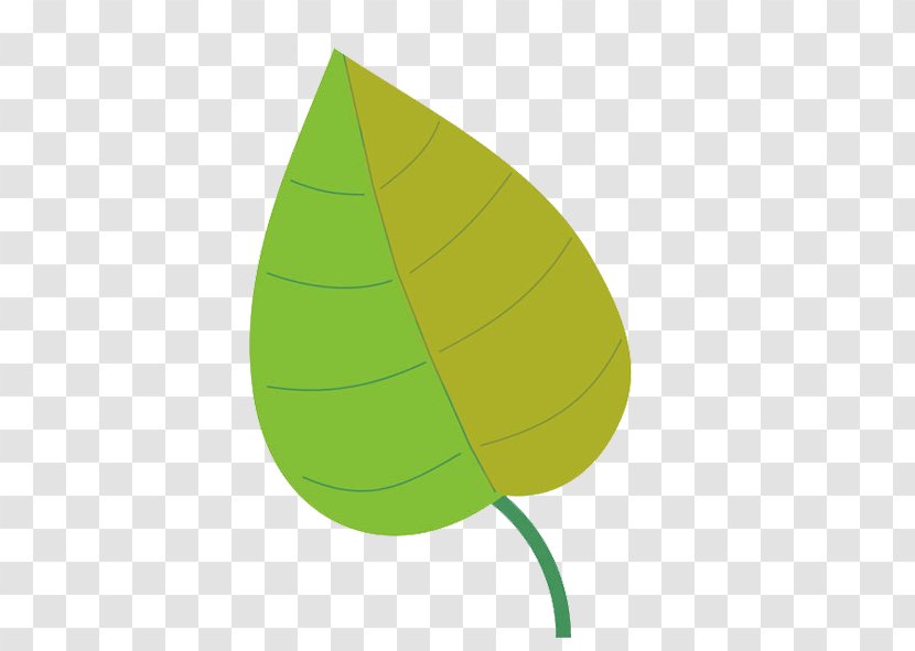 Leaf - Green - Light Bamboo Leaves Transparent PNG