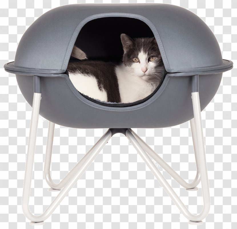 Bed Kitten Dog Persian Cat Pet - Furniture Transparent PNG