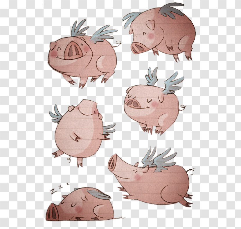 Domestic Pig Drawing Illustration - Skin - Flying Transparent PNG