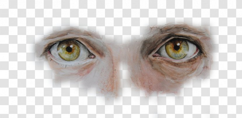 Eye Pupil Brown Computer File - Flower - Painted Eyes Transparent PNG