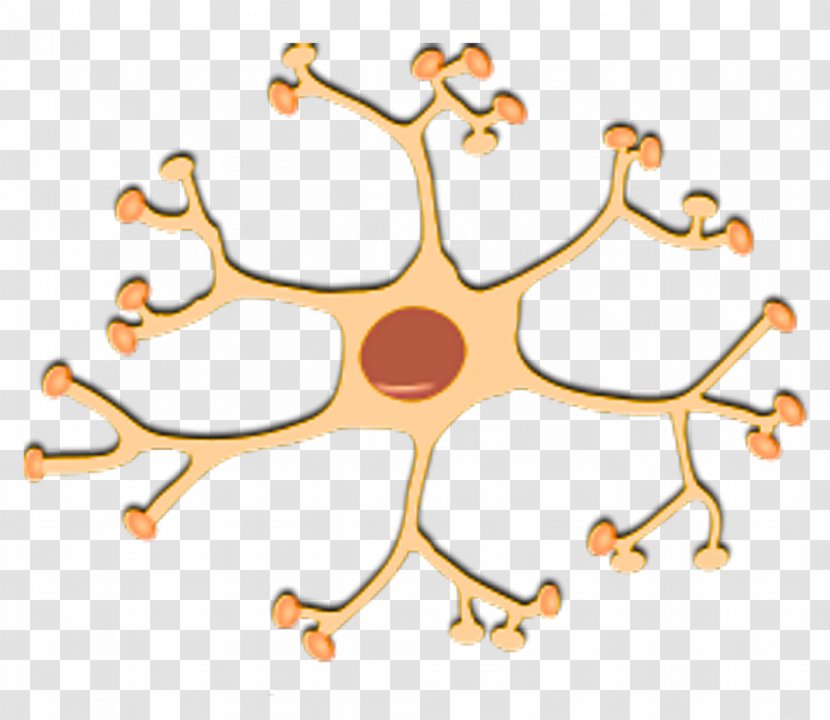 Nerve Interneuron Nervous System Clip Art - Neuron - VETORES Transparent PNG