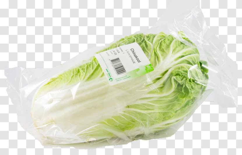 Leaf Vegetable Cabbage Plastic Ingredient - Food Transparent PNG