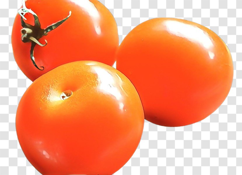 Orange - Balloon - Nightshade Family Plant Transparent PNG