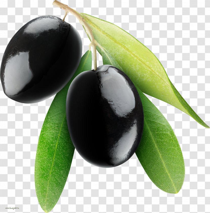 Fruit Olive - Oil - Black Olives Transparent PNG