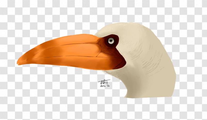 Bird Dinosaur Ramphastosula Miocene Beak - Cenozoic Transparent PNG