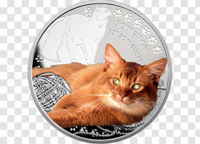 Maine Coon European Shorthair Whiskers Somali Cat Tabby - Coin Transparent PNG
