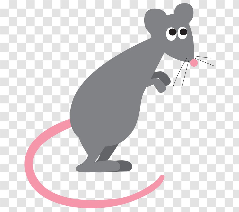 Murids Mouse Black Rat Cat Rodent - Dog Like Mammal Transparent PNG