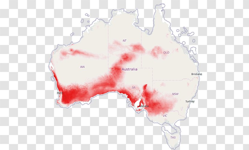 Map Jaw Transparent PNG