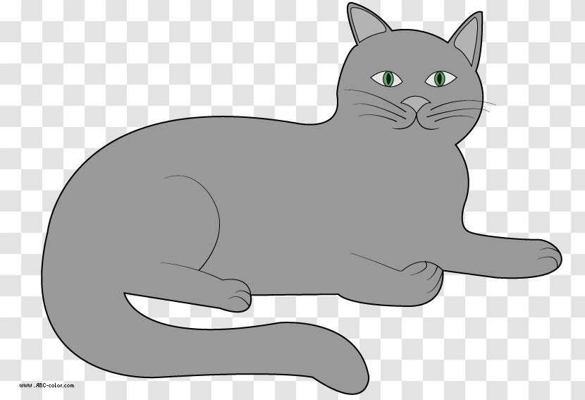 Korat Kitten Whiskers Domestic Short-haired Cat Black - Breed Transparent PNG