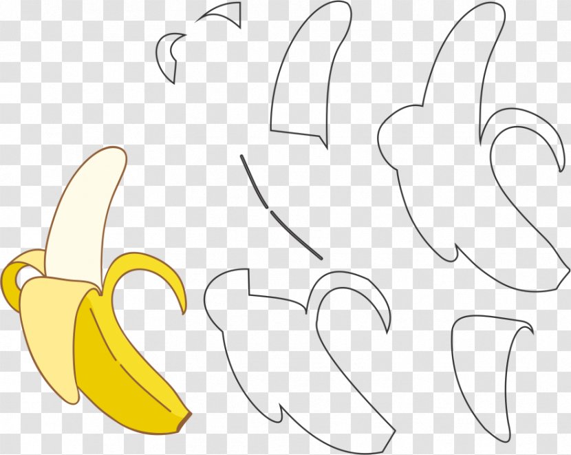 Fruit Banana Food Drawing - Flower - Carambola Transparent PNG