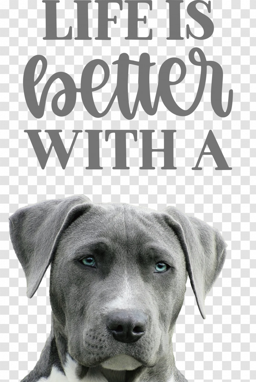 Life Better Transparent PNG