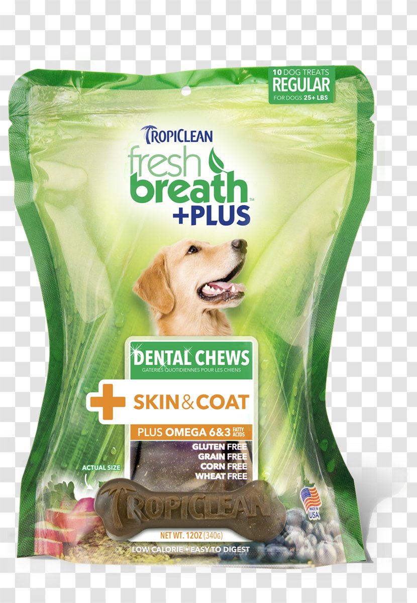 Dog Teeth Cleaning Dentistry Cat Transparent PNG