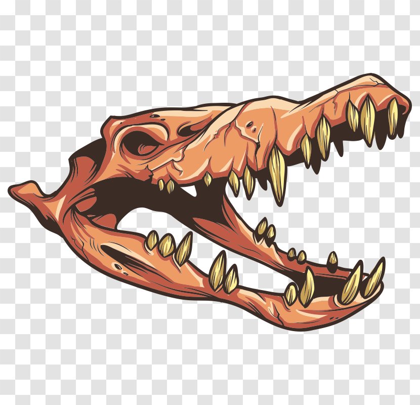 Velociraptor Wall Decal - Claw - Skull Transparent PNG