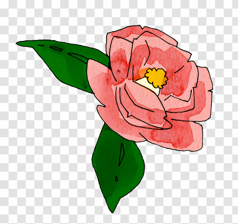 Garden Roses Transparent PNG