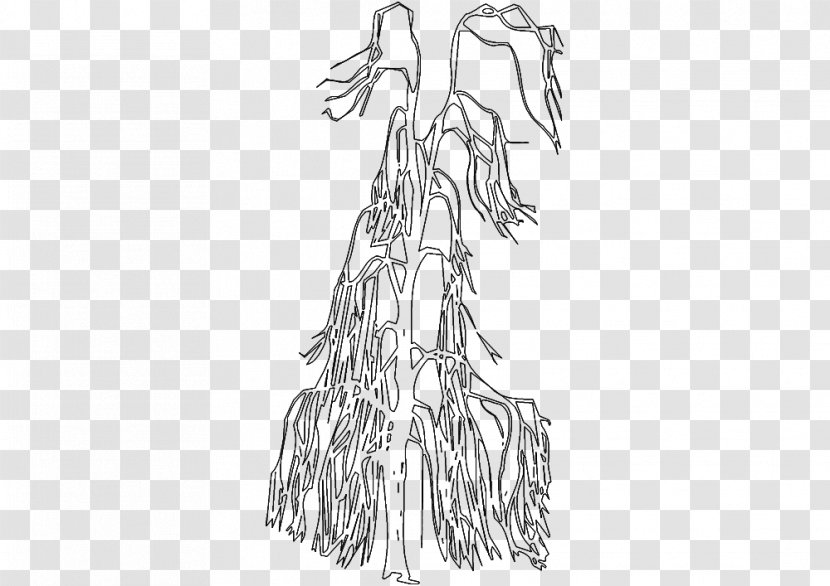 Figure Drawing Line Art Mammal Sketch - Tree - Front Transparent PNG