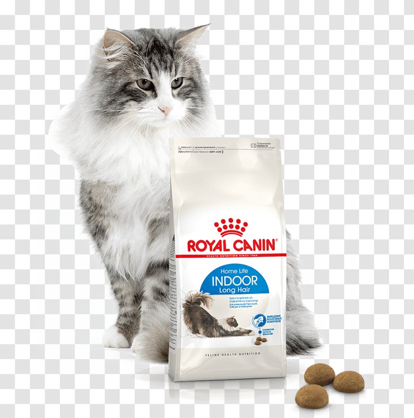 Persian Cat Norwegian Forest British Shorthair Food Kitten - Royal Canin Transparent PNG