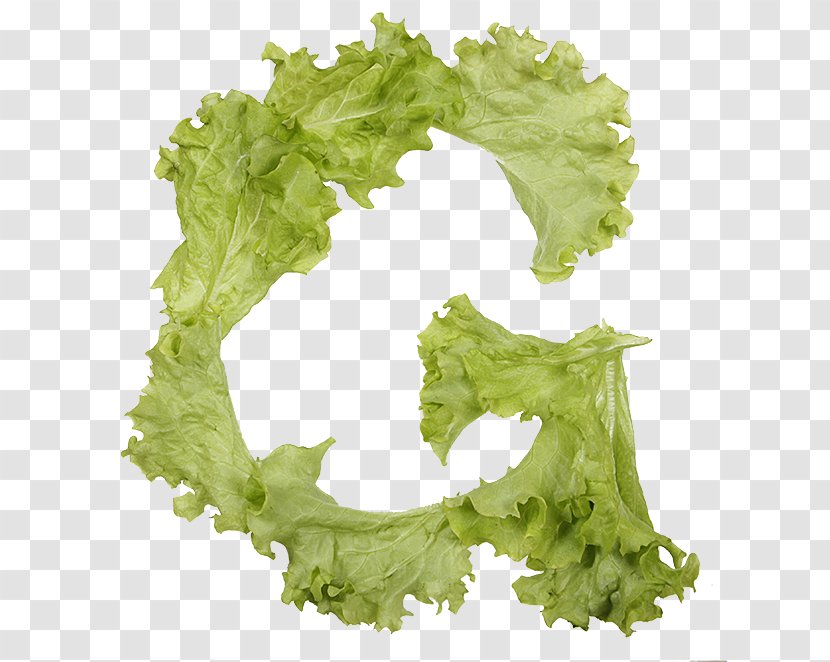 Lettuce Typeface Typography Vegetable Font - Tree - Food Letter Transparent PNG