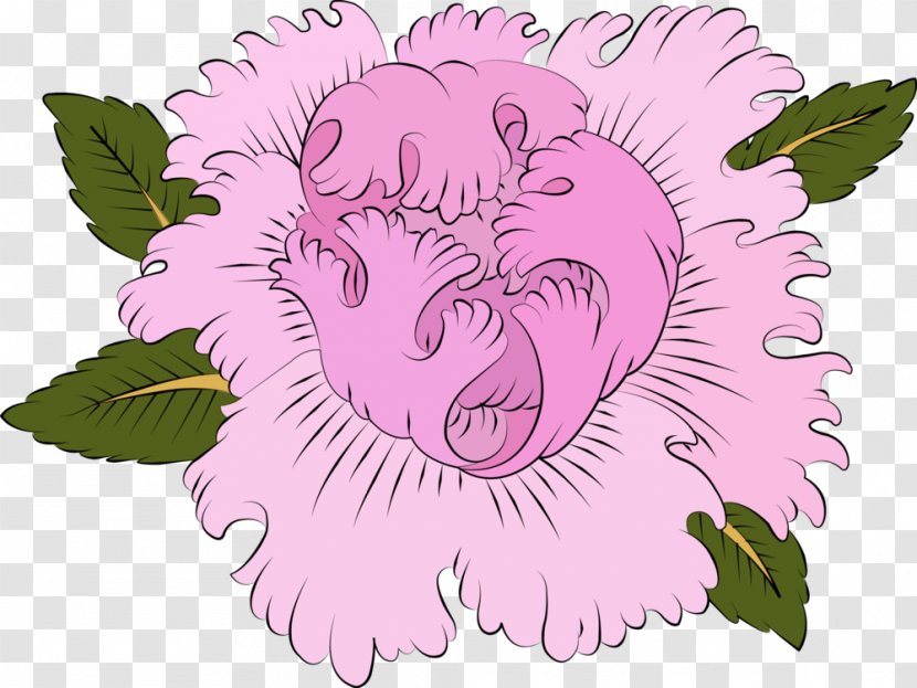 Rosaceae Cat Petal Clip Art - Rose Family - Peony Design Transparent PNG