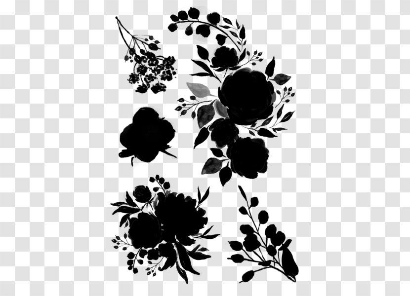 Floral Design Pattern Leaf Silhouette - Plant - Chrysanths Transparent PNG