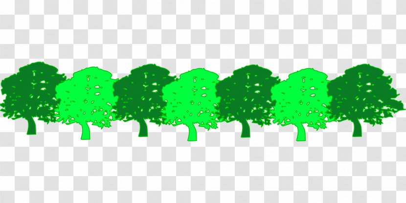 Tree Green Forest Clip Art - Landscape Transparent PNG