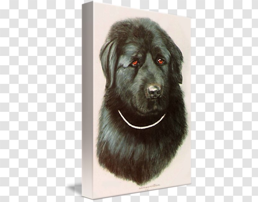 Dog Breed Newfoundland Sarplaninac Leonberger Puppy - Group Transparent PNG