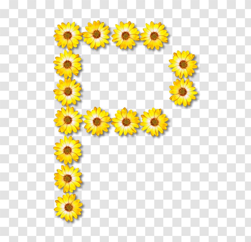 Common Sunflower Floral Design Letter Alphabet - Flowering Plant - Flower Transparent PNG