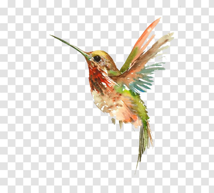 Hummingbird Watercolor Painting Tattoo - Abziehtattoo - Flying Bird Transparent PNG