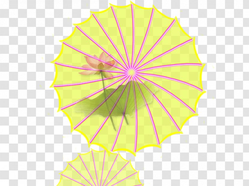 Paper Graphic Design - Petal - Art Umbrella Transparent PNG