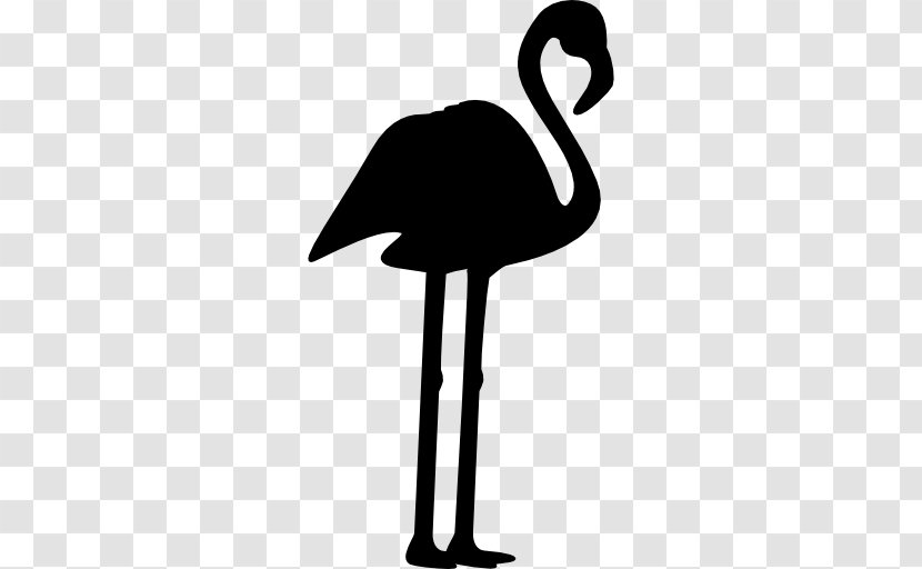 Bird Phoenicopterus - Neck - Flamingo Transparent PNG