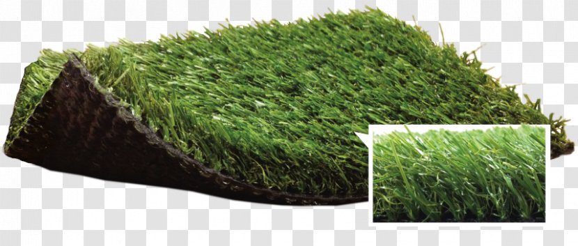 Artificial Turf Lawn Garden Thatch Carpet - Grass Family Transparent PNG