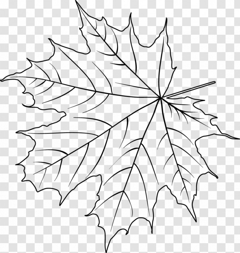 Christmas Day Drawing Flower Poinsettia Painting - Gift - Blackandwhite Transparent PNG
