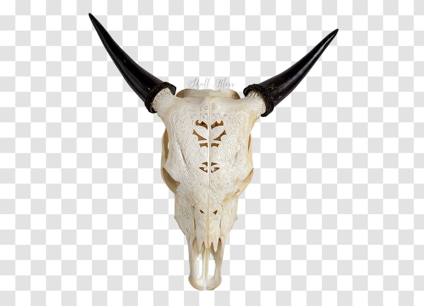 Cattle Skull XL Horns Turquoise Transparent PNG