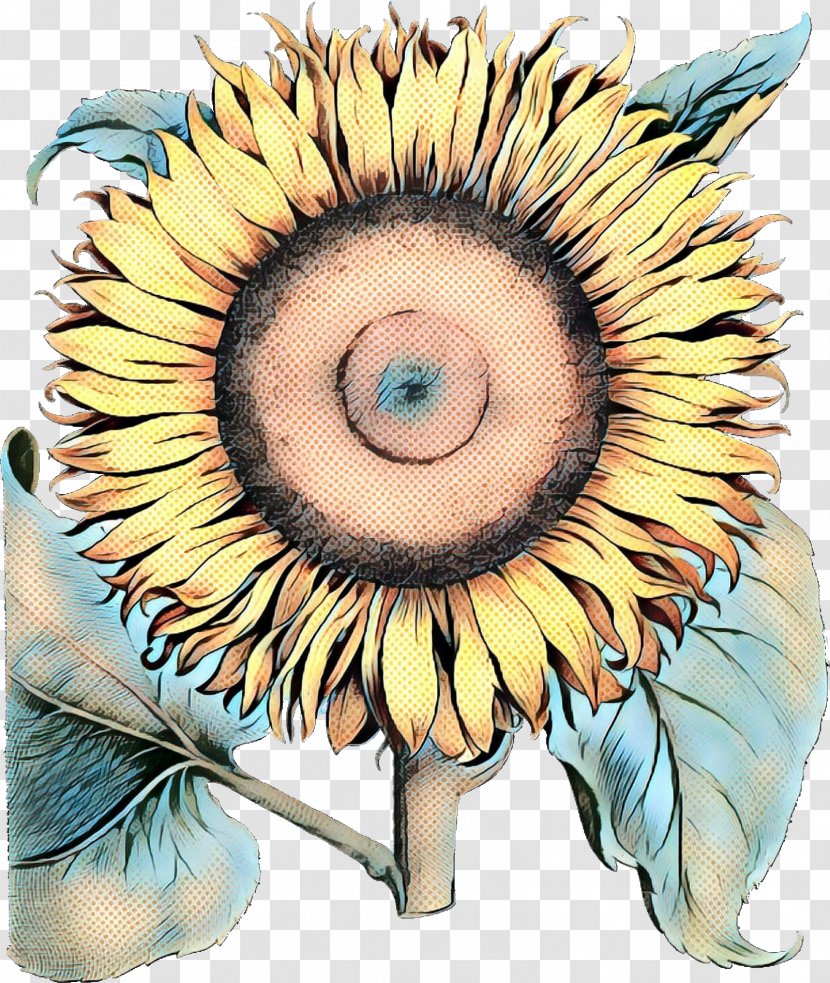 Watercolor Flower Background - Paint - Plant Transparent PNG