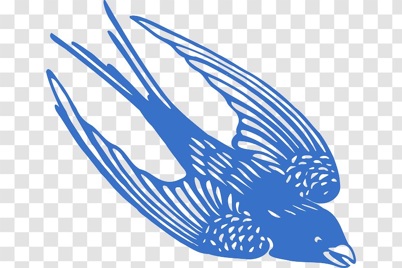 Blue Jay Bird Clip Art Transparent PNG