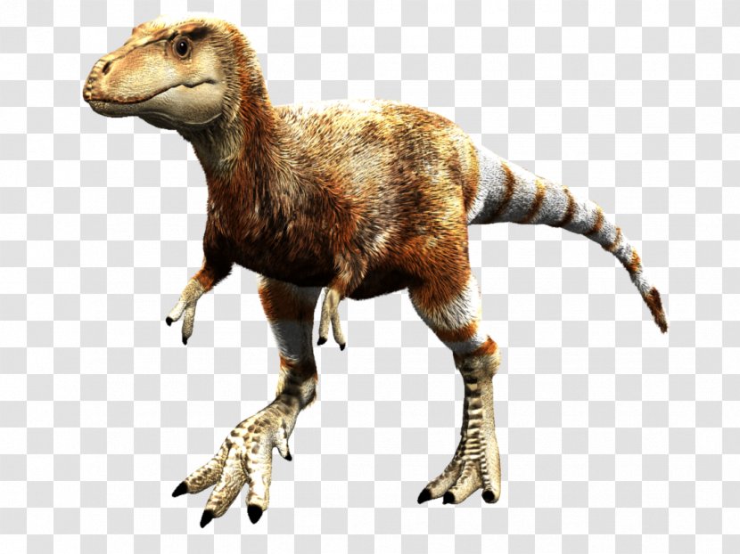 Baby Tyrannosaurus Rex Velociraptor Daspletosaurus Dinosaur - Bipedalism Transparent PNG