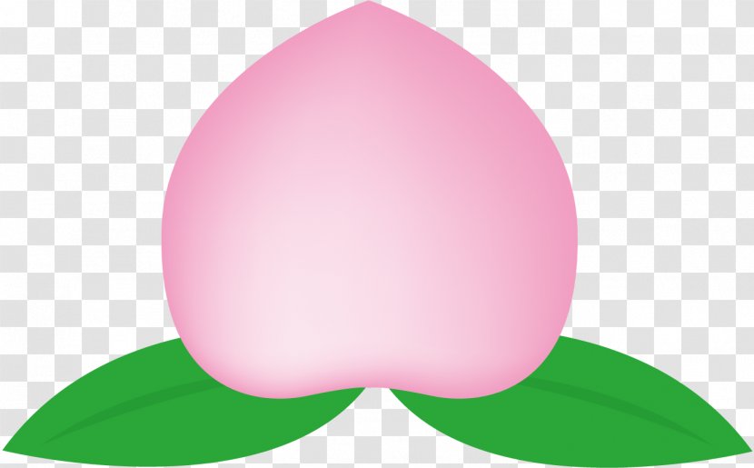 Peach. - Pink - Green Transparent PNG