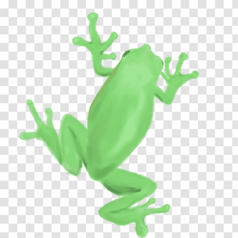 True Frog Tree Toad T-shirt - Green Transparent PNG